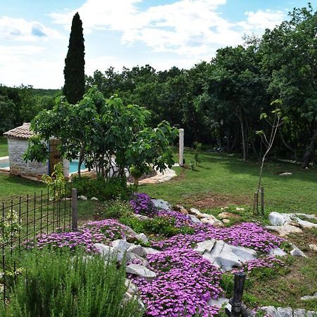 בוג'ה Cottage Al Merlo Olivo מראה חיצוני תמונה