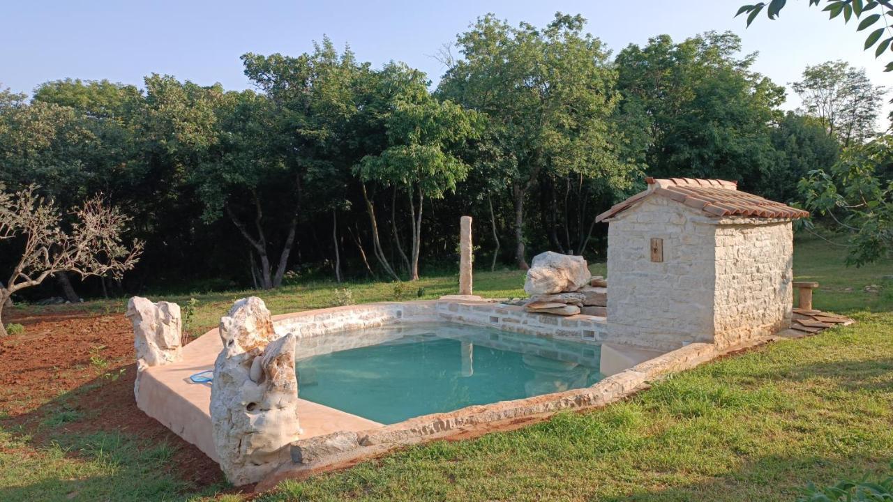 בוג'ה Cottage Al Merlo Olivo מראה חיצוני תמונה