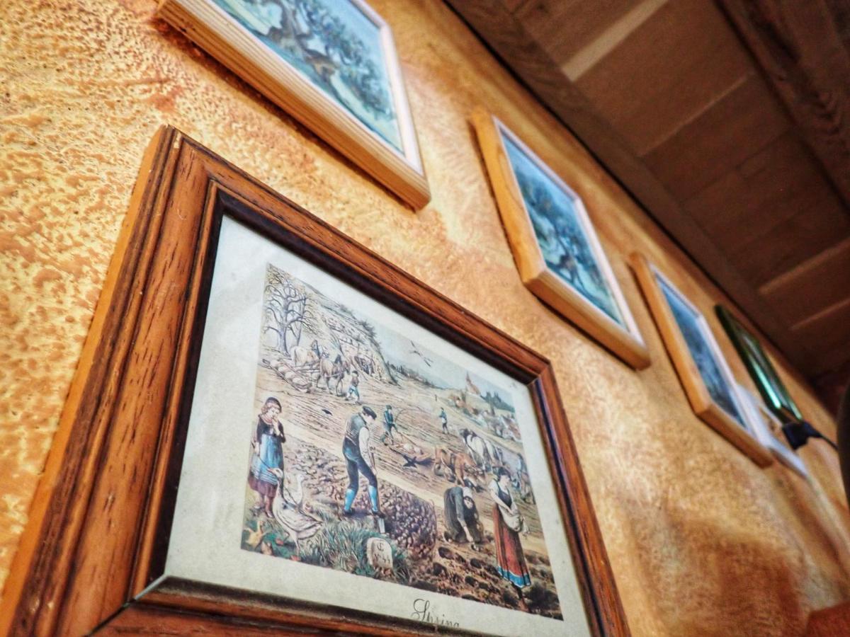 בוג'ה Cottage Al Merlo Olivo מראה חיצוני תמונה