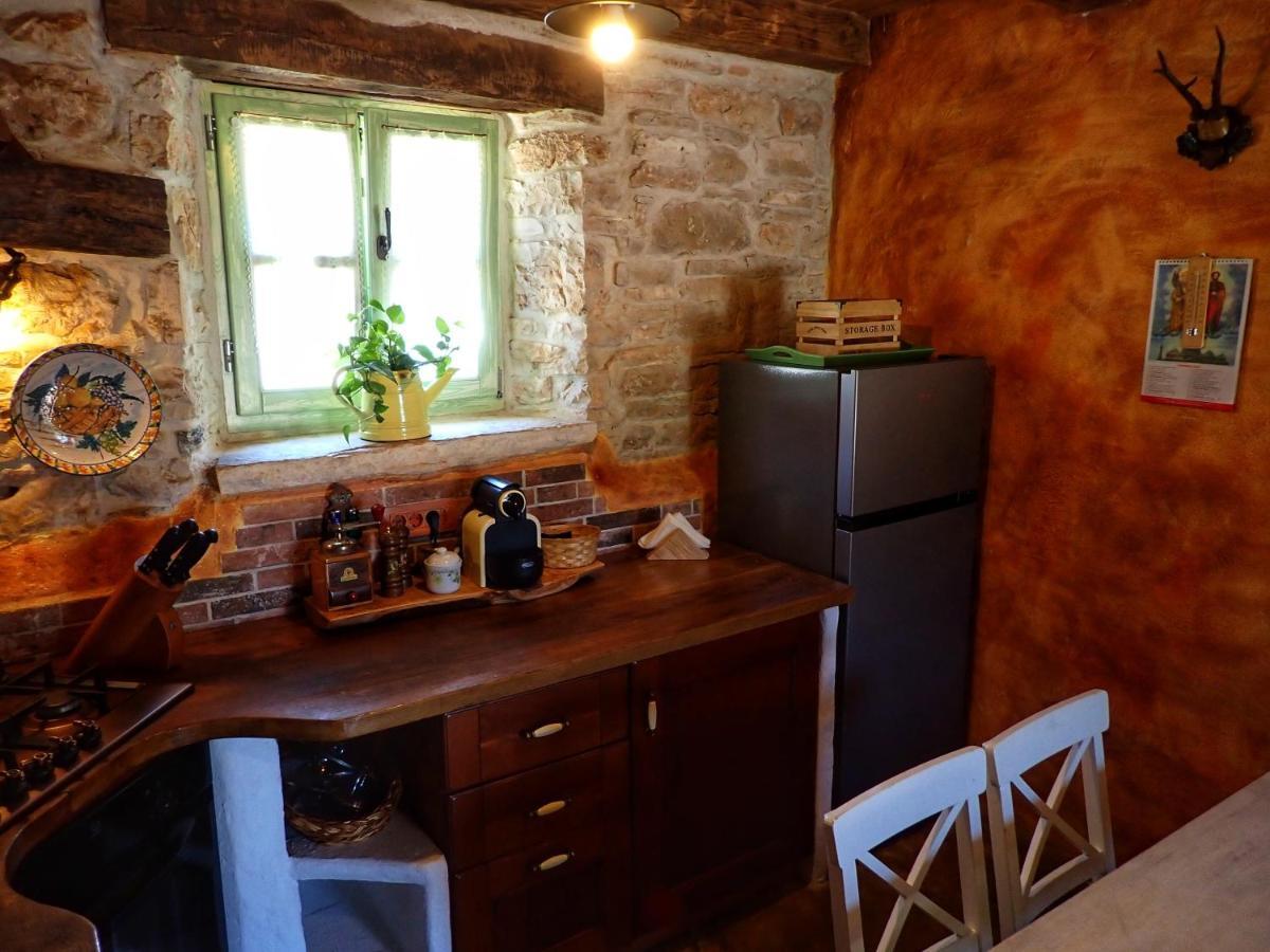 בוג'ה Cottage Al Merlo Olivo מראה חיצוני תמונה