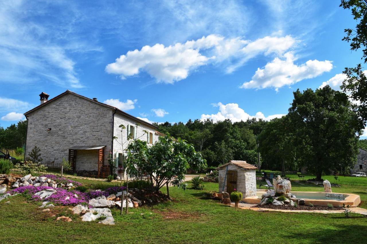 בוג'ה Cottage Al Merlo Olivo מראה חיצוני תמונה