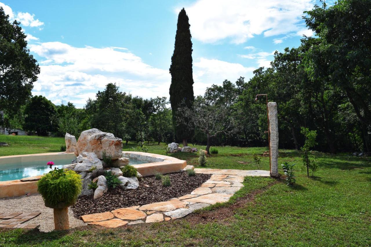 בוג'ה Cottage Al Merlo Olivo מראה חיצוני תמונה