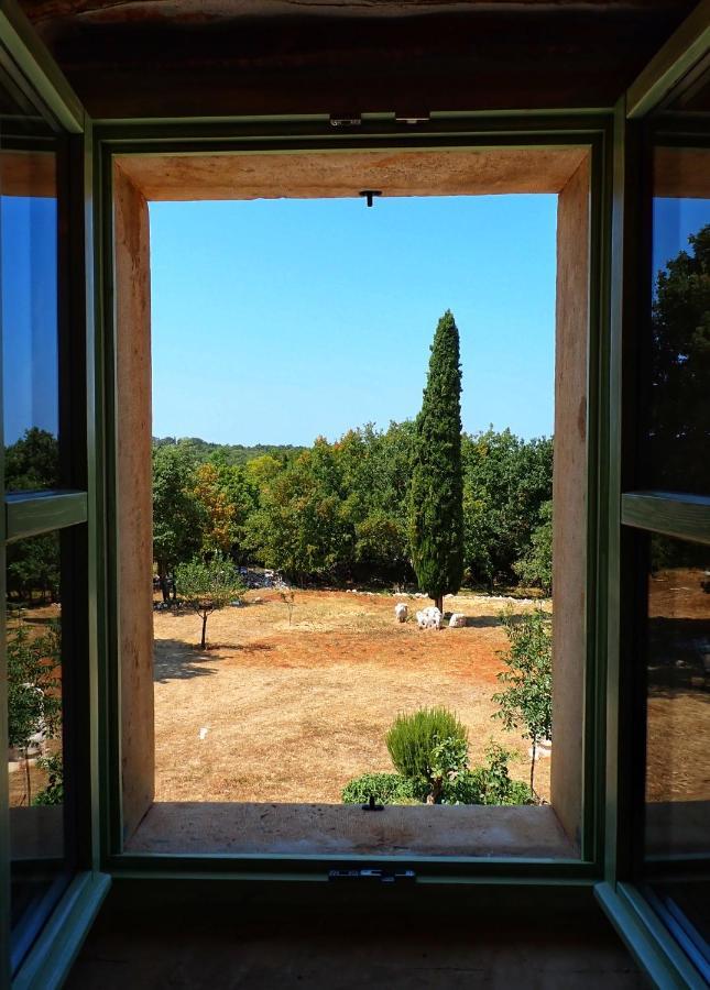 בוג'ה Cottage Al Merlo Olivo מראה חיצוני תמונה