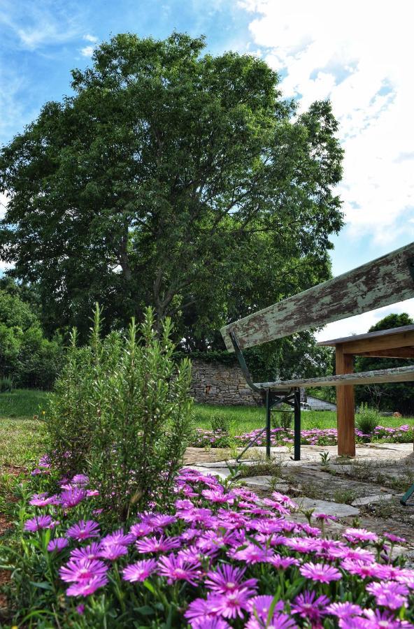 בוג'ה Cottage Al Merlo Olivo מראה חיצוני תמונה
