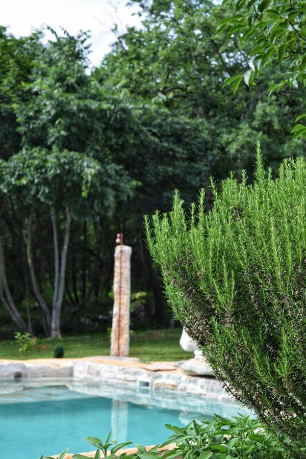 בוג'ה Cottage Al Merlo Olivo מראה חיצוני תמונה