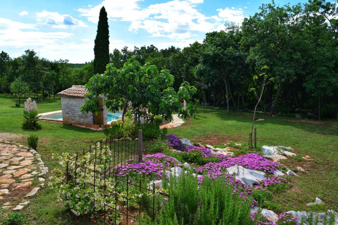 בוג'ה Cottage Al Merlo Olivo מראה חיצוני תמונה
