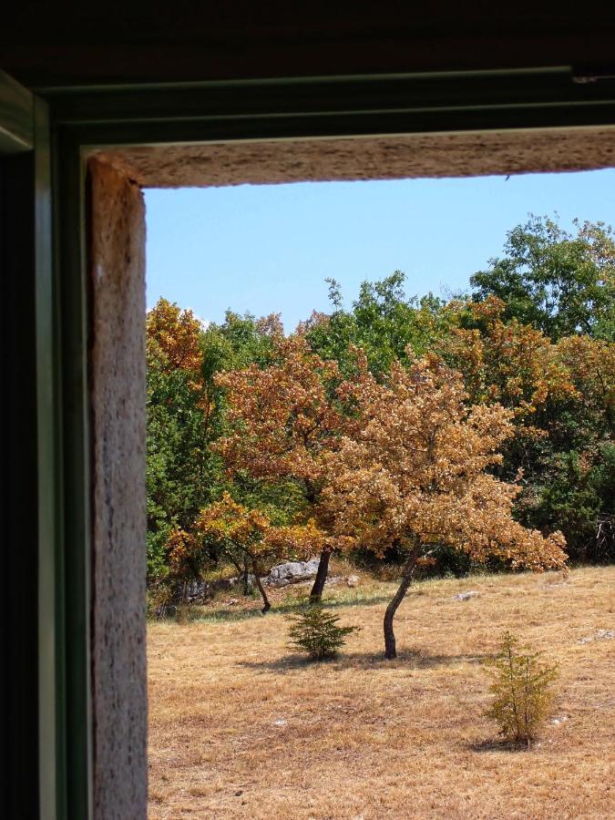 בוג'ה Cottage Al Merlo Olivo מראה חיצוני תמונה