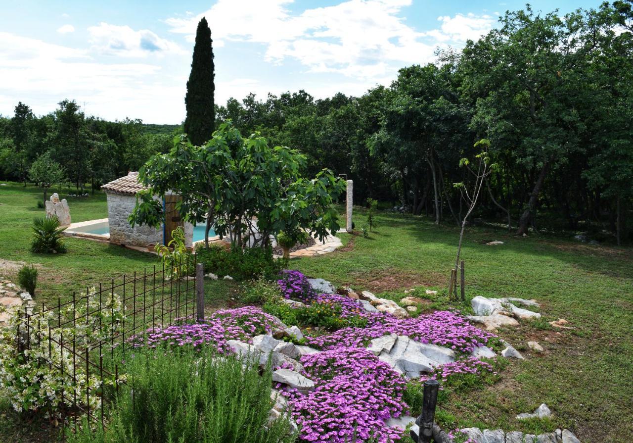בוג'ה Cottage Al Merlo Olivo מראה חיצוני תמונה