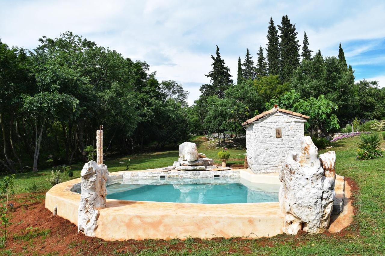 בוג'ה Cottage Al Merlo Olivo מראה חיצוני תמונה
