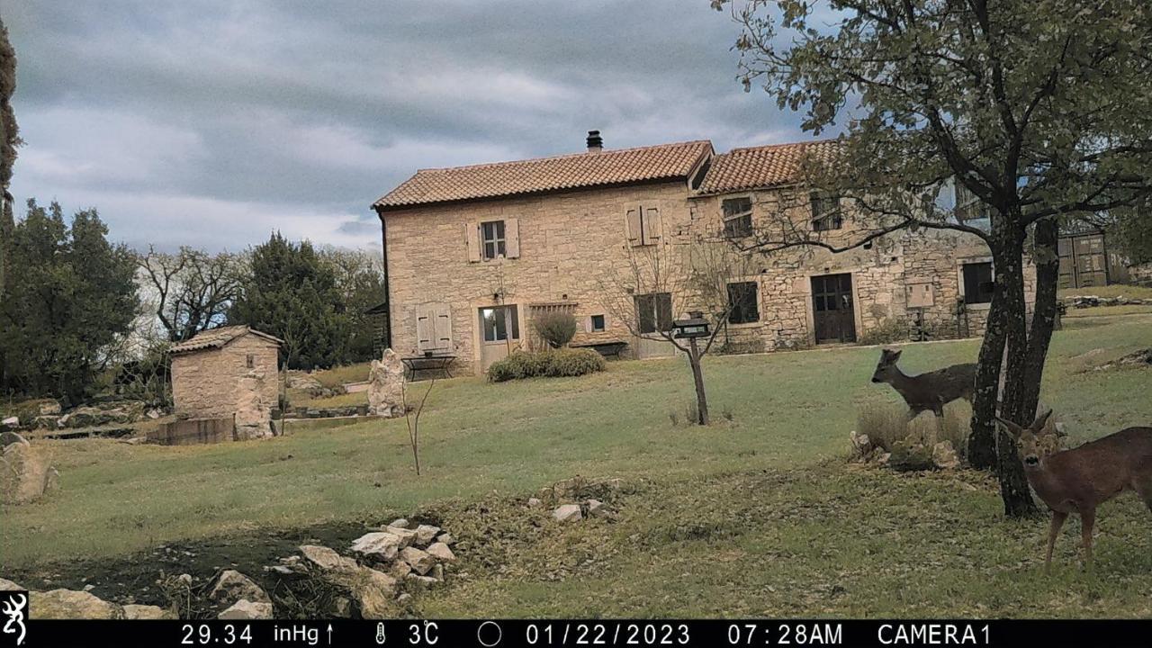 בוג'ה Cottage Al Merlo Olivo מראה חיצוני תמונה