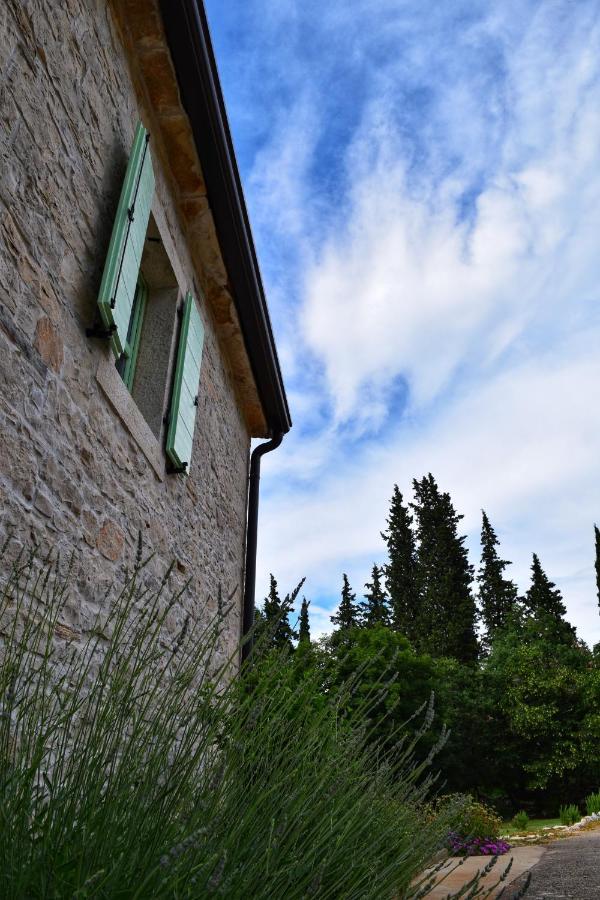 בוג'ה Cottage Al Merlo Olivo מראה חיצוני תמונה